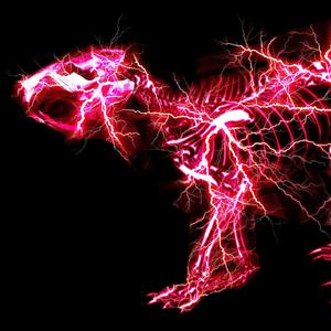 亚洲AV无码偷拍在线观看
