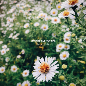 亚洲AV无码偷拍在线观看
