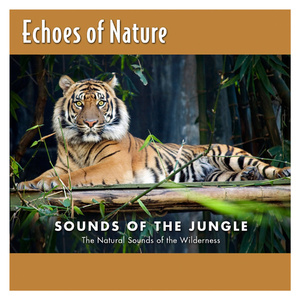 亚洲AV无码偷拍在线观看
