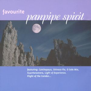 亚洲AV无码偷拍在线观看
